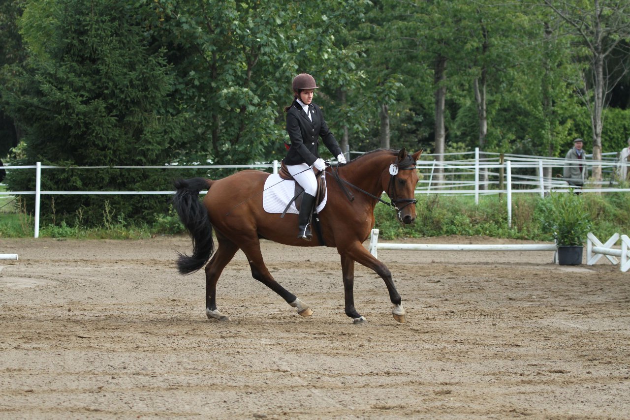 Bild 211 - WBO-Turnier am 18.9.11